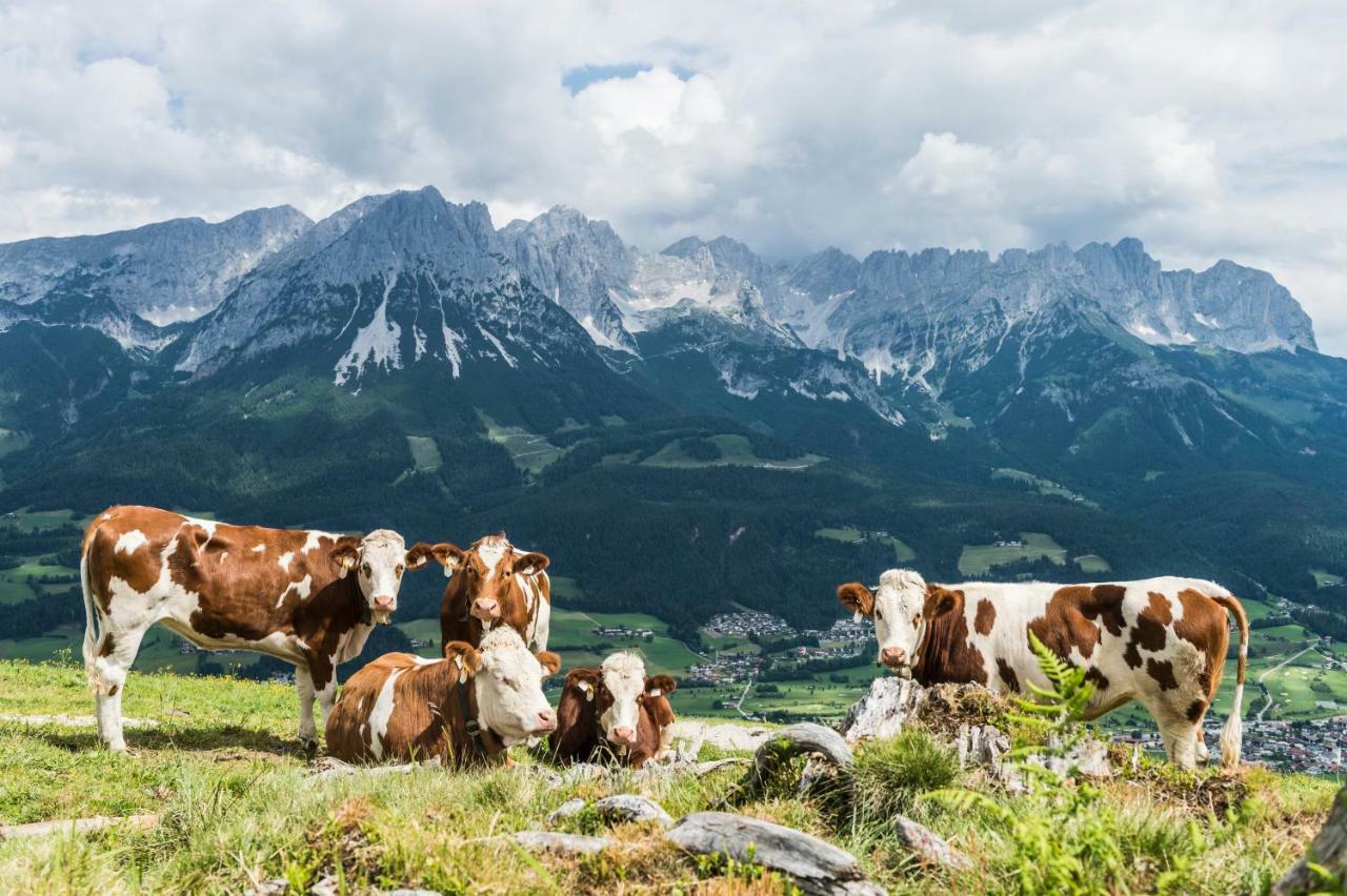 Appartement Unterbering Söll Exteriér fotografie